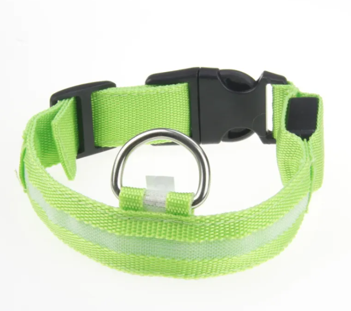 Collare LED Luminoso per Cani – USB Ricaricabile