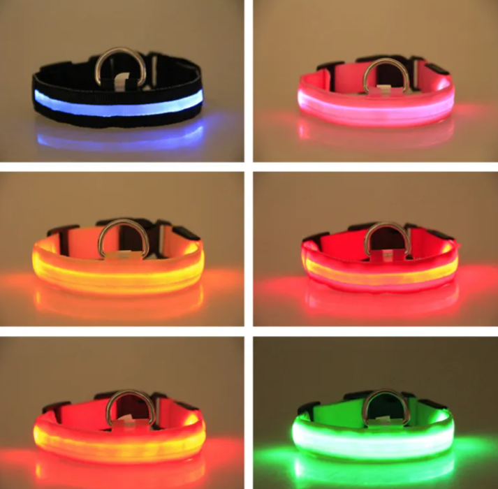 Collare LED Luminoso per Cani – USB Ricaricabile