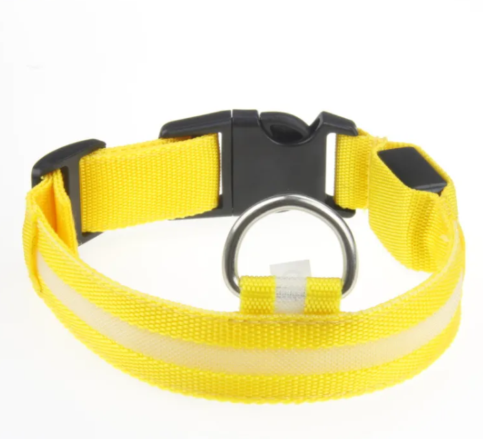 Collare LED Luminoso per Cani – USB Ricaricabile