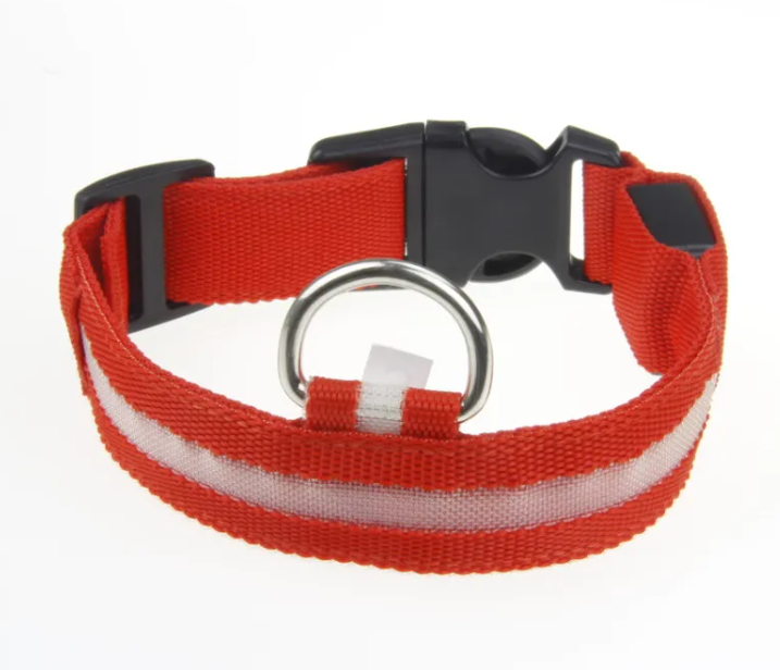 Collare LED Luminoso per Cani – USB Ricaricabile