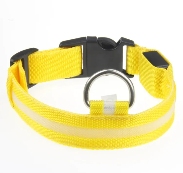 Collare LED Luminoso per Cani – USB Ricaricabile