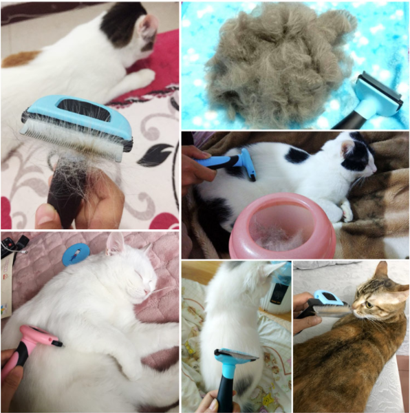 Spazzola Autopulente per Cani e Gatti