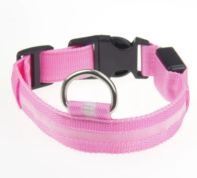 Collare LED Luminoso per Cani – USB Ricaricabile