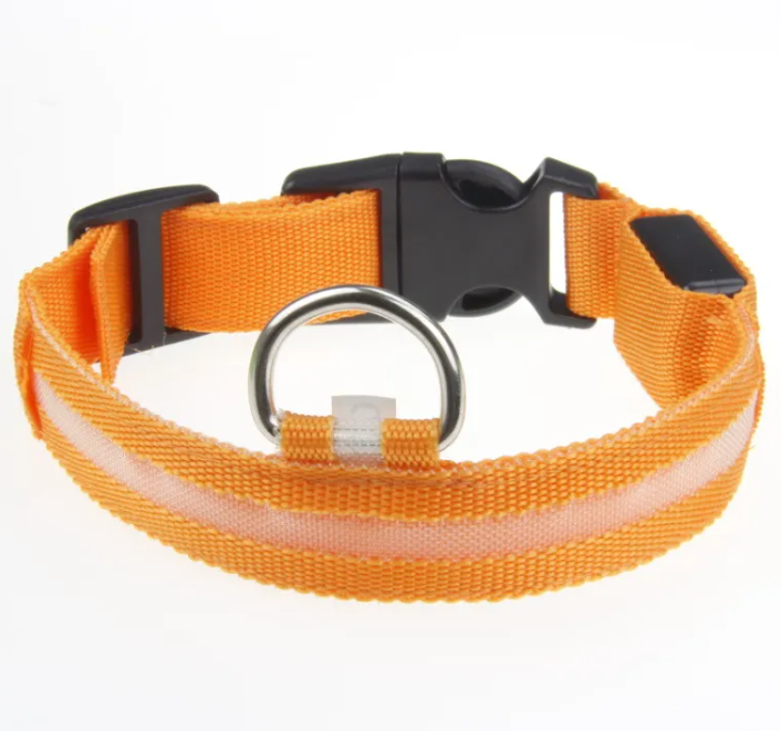 Collare LED Luminoso per Cani – USB Ricaricabile