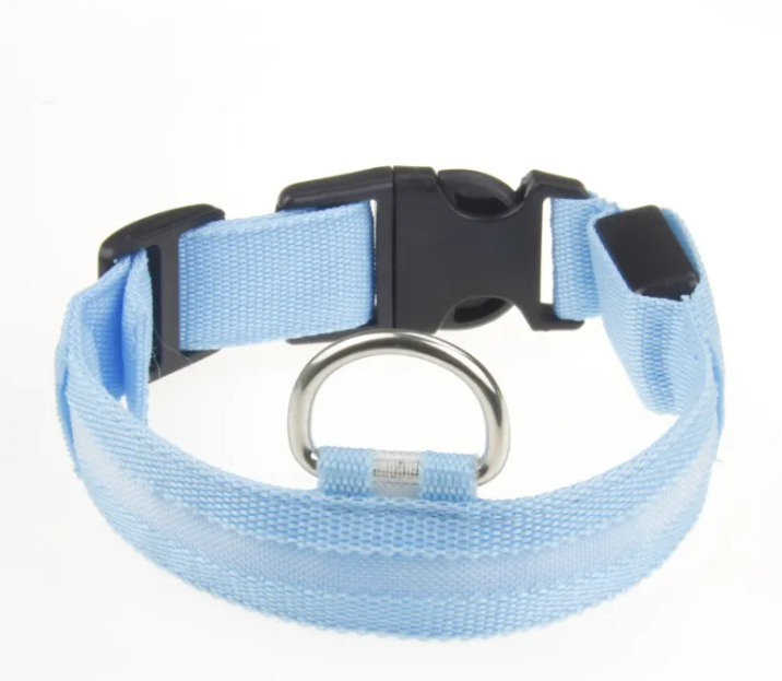 Collare LED Luminoso per Cani – USB Ricaricabile